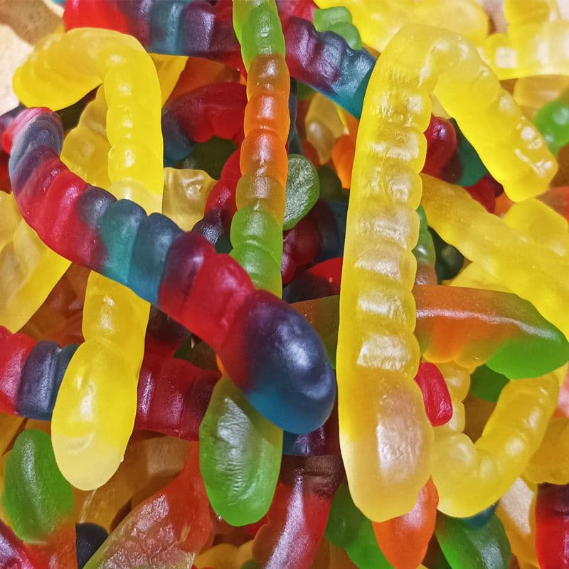 Kišna glista B 1kg